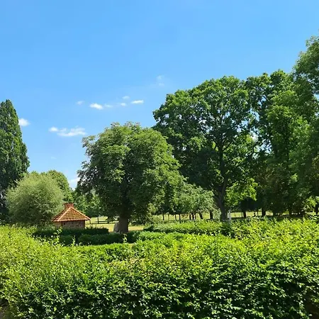 Отель Schloss Rothenklempenow
